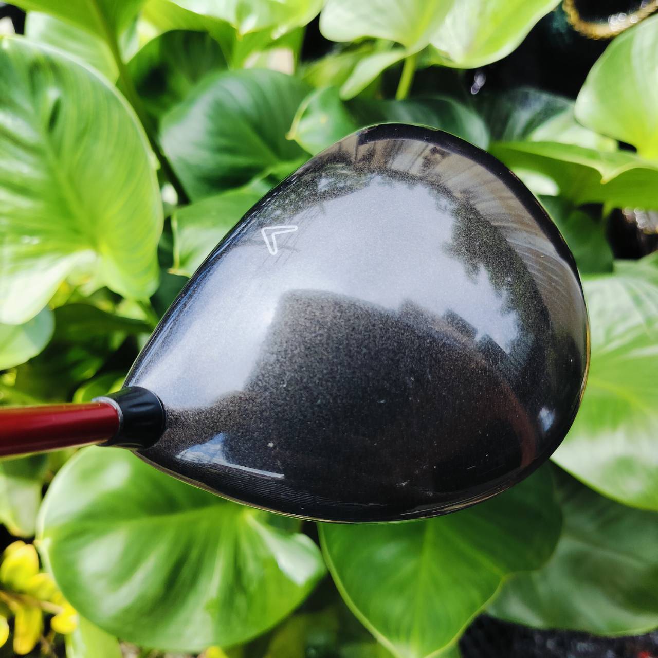 Driver Callaway BIGBERTHAR 454 วัสดุ BETA TITANIUM ตีดีแบบสุดๆ เป็นก้านเสียบแบบทะลุ สุดคลาสสิค ไม้กอล์ฟมือสอง ของแท้ By NakaraLuxurious
