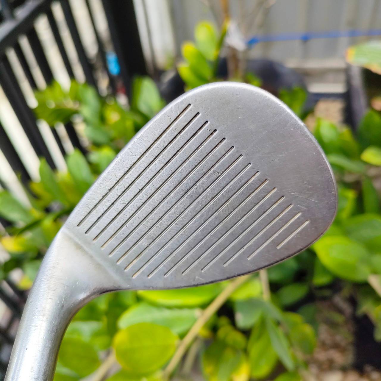 WEDGE TAYLORMADE RAC องศา 56 เบาท์ 12 ตัว SATIN ก้าน DYNAMIC GOLD FLEX WEDGE ชิพนุ่มนวล แม่นยำ ร่องคมลึกๆ สปินดี ตกหยุดง่าย สภาพเดิม ไม้กอล์ฟพรีเมี่ยมมือสอง By NakaraLuxurious