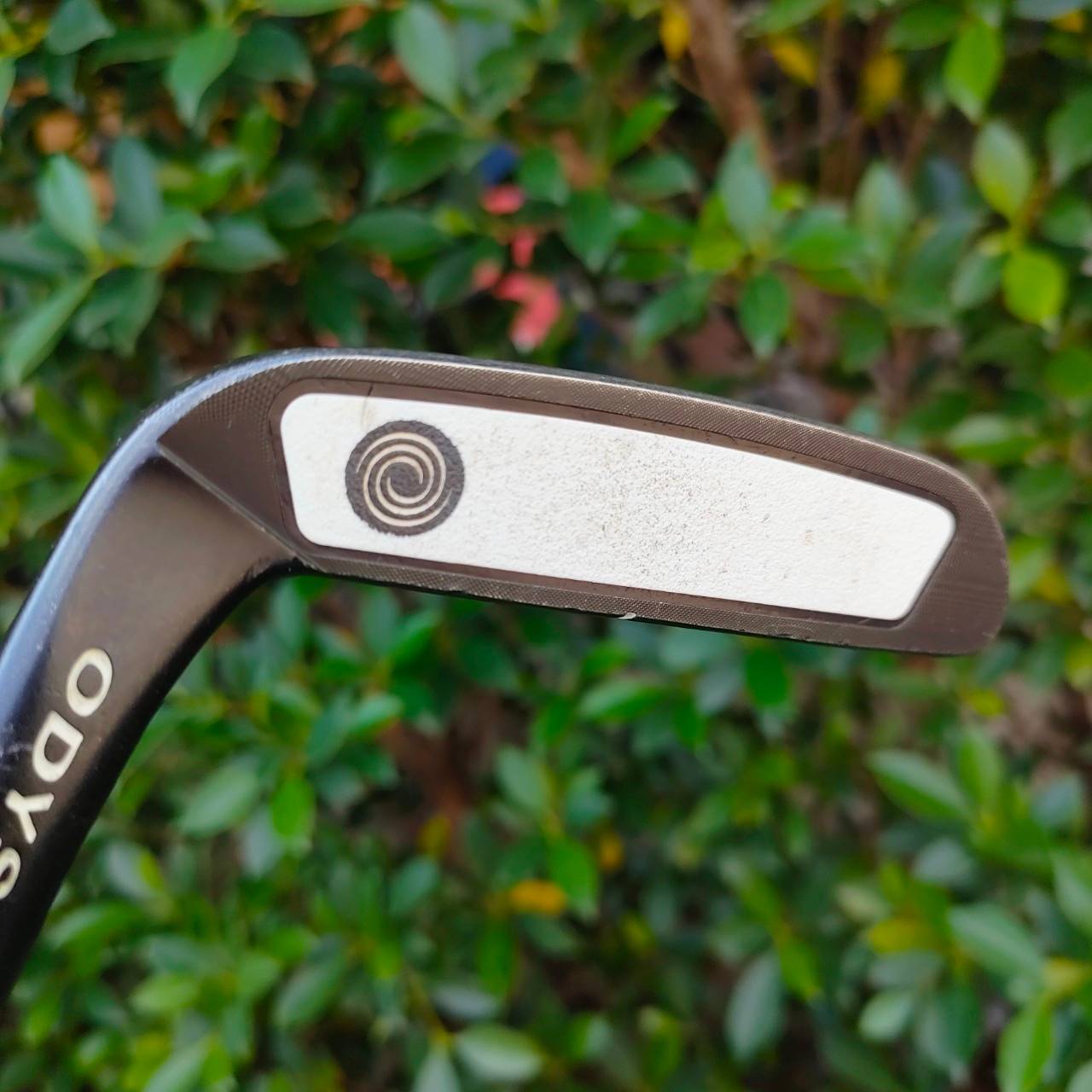 PUTTER ODYSSEY PROTYPE PT82 ความยาว 34 นิ้ว ก้าน PRO TY เป็นรุ่น ลิมิเต็ดเอ็ดดิชั่น หายากมาก ราคาพุ่งมากๆ ลองเช็คราคาก่อนครับ ขายถูกมาก คนชอบรีบเก็บด่วน!!!