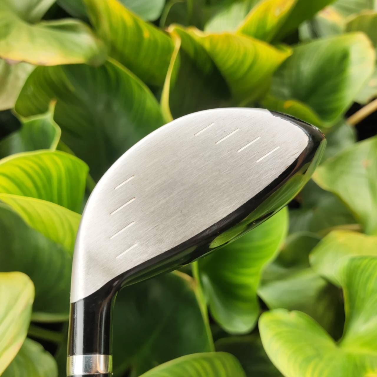 7W PRGR iD Nabla RS หน้าเด้ง ลอยไว ระยะสวย! แฟร์เวย์วูดเบอร์ 7 ตีง่ายกว่าเหล็ก หรือไฮบริด