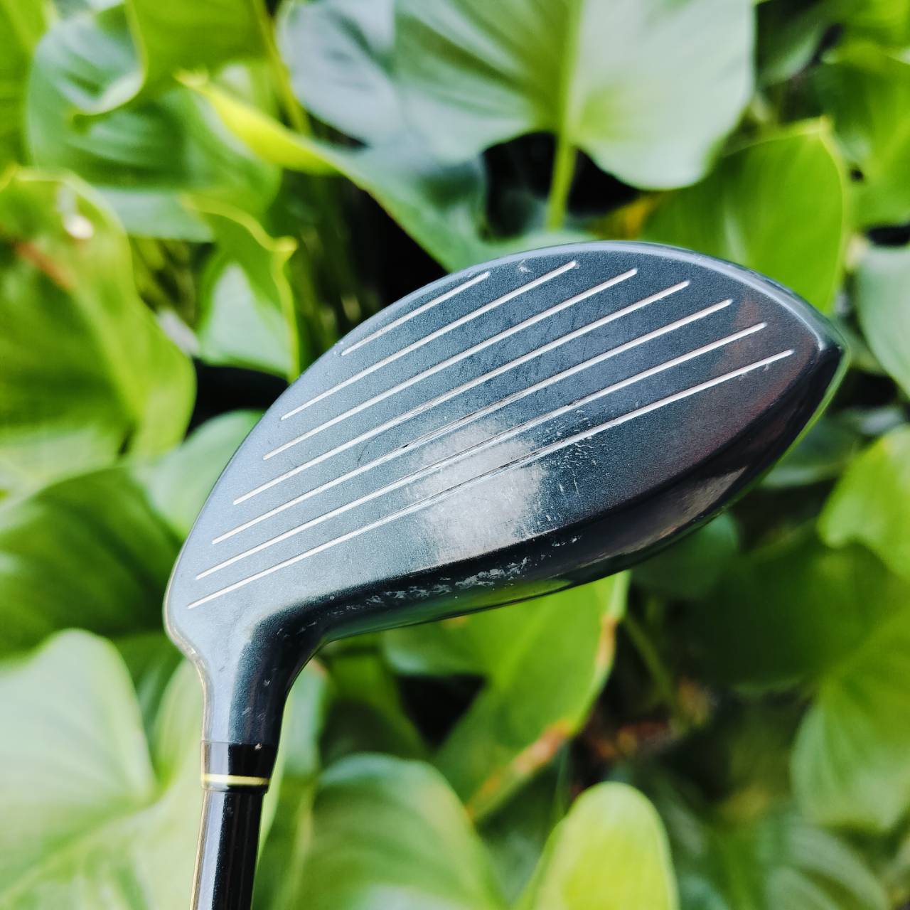 Driver KASCO POWER TORNADO 01 หน้าเด้ง SUPER HYTEN ไม้นี้หลายท่านตามหา เพราะตีดีมากๆ ไม้กอล์ฟพรีเมี่ยมมือสอง ของแท้ By NakaraLuxurious