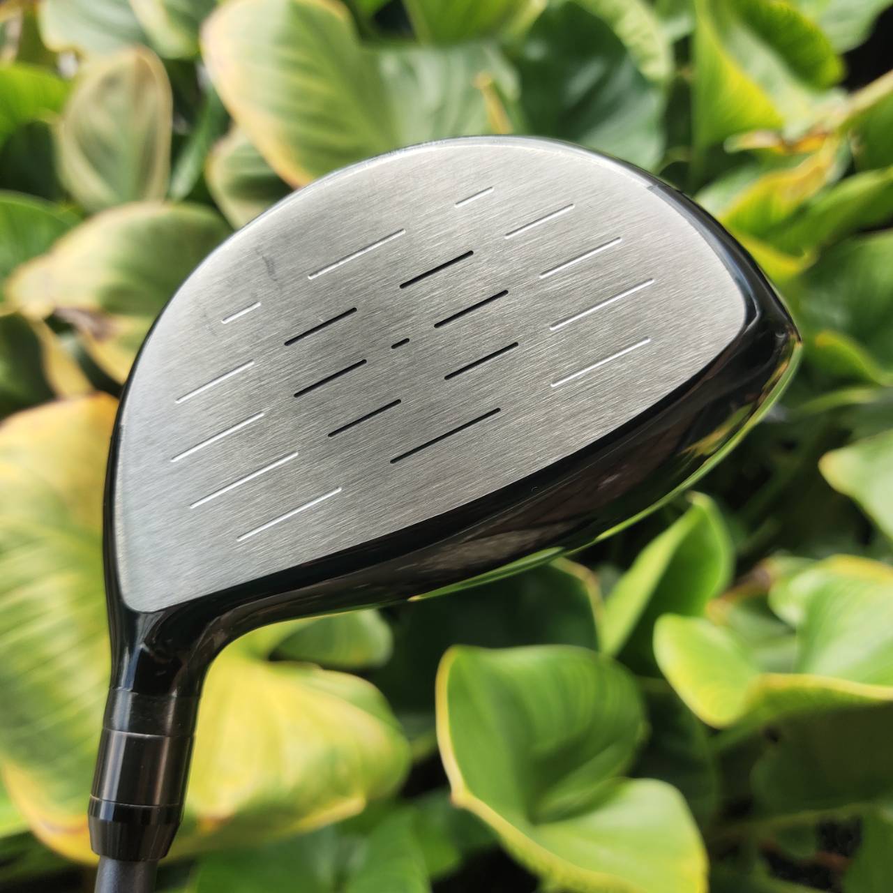 Driver – ROMARO RAY V V2 455 (10.5°) ไม้จากญี่ปุ่นตัวจริง ที่ในเวลานี้ไม่มีตัวไหนกล้าสู้!!!