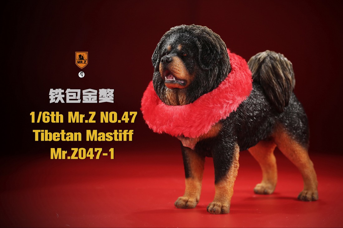 [สั่งจอง] MR. Z Animal Model MRZ047 1/6th Tibetan Mastiff