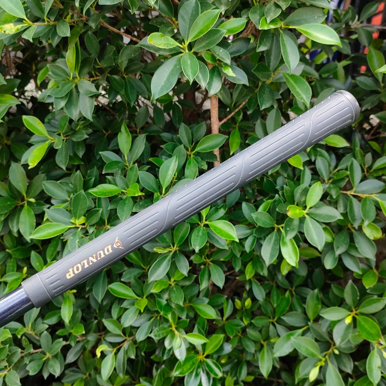 ชุดเหล็ก DUNLOP G-77TI มีเหล็ก 3-9 เเละ PW SW ก้าน PRO -FLEX G-77TI FLEX R