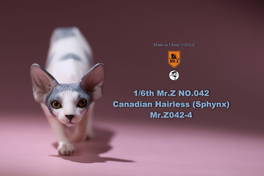 [สั่งจอง]แมวสฟิงก์ แมวน้อยขนกลับด้าน 1/6 Mr. Z Animal Model No.42: 1/6th Canadian Hairless (Sphynx)