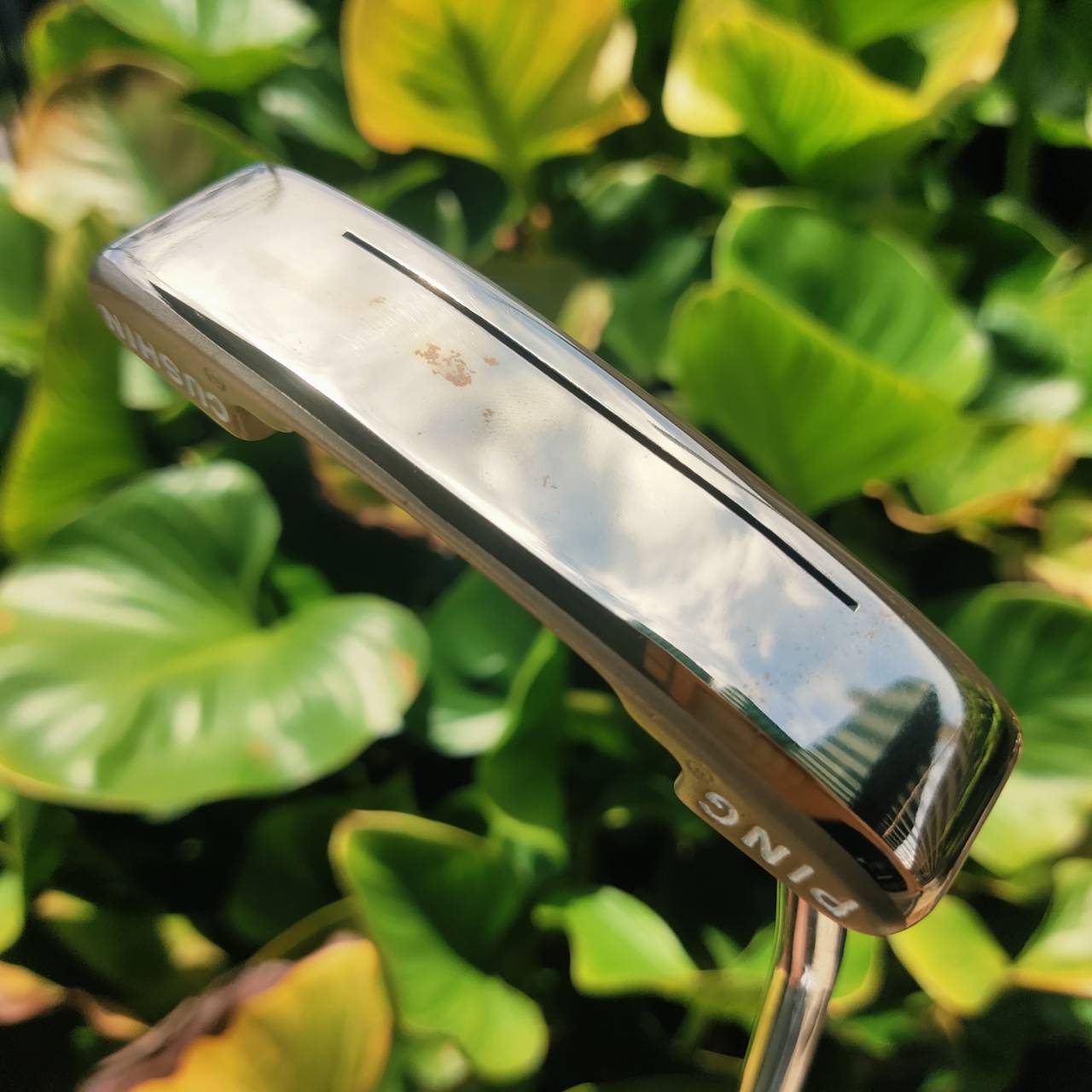 Putter จาก PING CUSHIN ทำจาก ทองเหลือแท้ (Solid Brass) ให้ทั้งน้ำหนักพอดี ฟีลลิ่งแน่น นุ่มมือ
