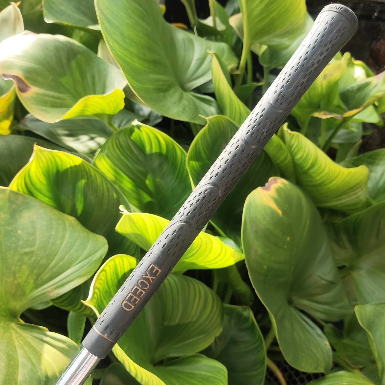 WEDGE EXCEED GOLD องศา 54 หน้าตะไบ ตกหยุดถอยๆ โหดมาก!!! วัสดุพรีเมี่ยม สีทอง สวยงามและหรูหรามาก!!!