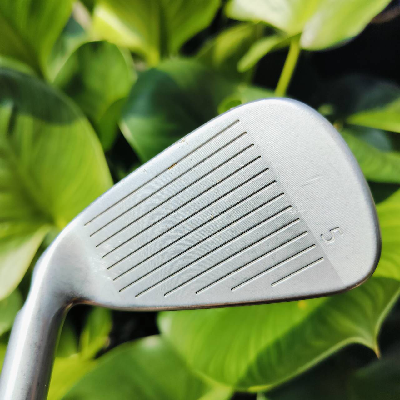 ชุดเหล็ก PING i20 ( หน้าตะไบ ) มีเหล็ก 5 6 7 8 9 PW ก้าน PING CFS J50 FLEX R เป็นชุดเหล็กที่มีหน้า MILLED ให้สปินได้สูงสุด ตกหยุดๆ ถอยๆ ได้ในทุกเหล็ก โดยเฉพาะเหล็ก 5 ถอยแน่นอนเพราะระยะยาว สปินจัด ไม้กอล์ฟมือสอง ของแท้ By NakaraLuxurious