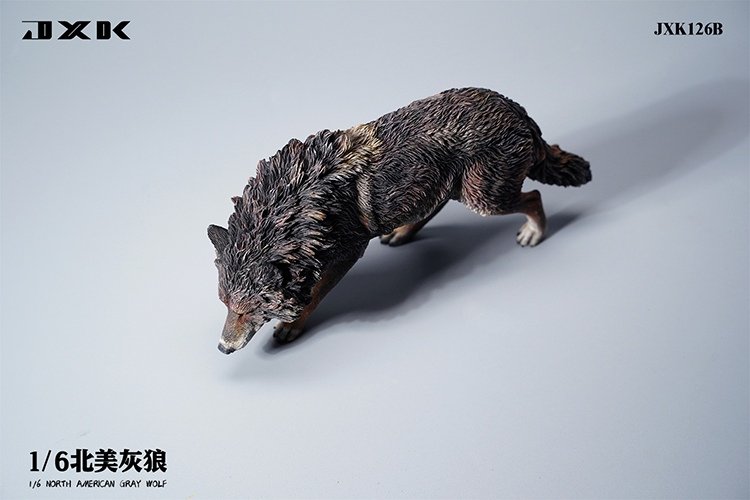 [สั่งจอง]JXK JXK126 1/6 : North American Grey Wolf