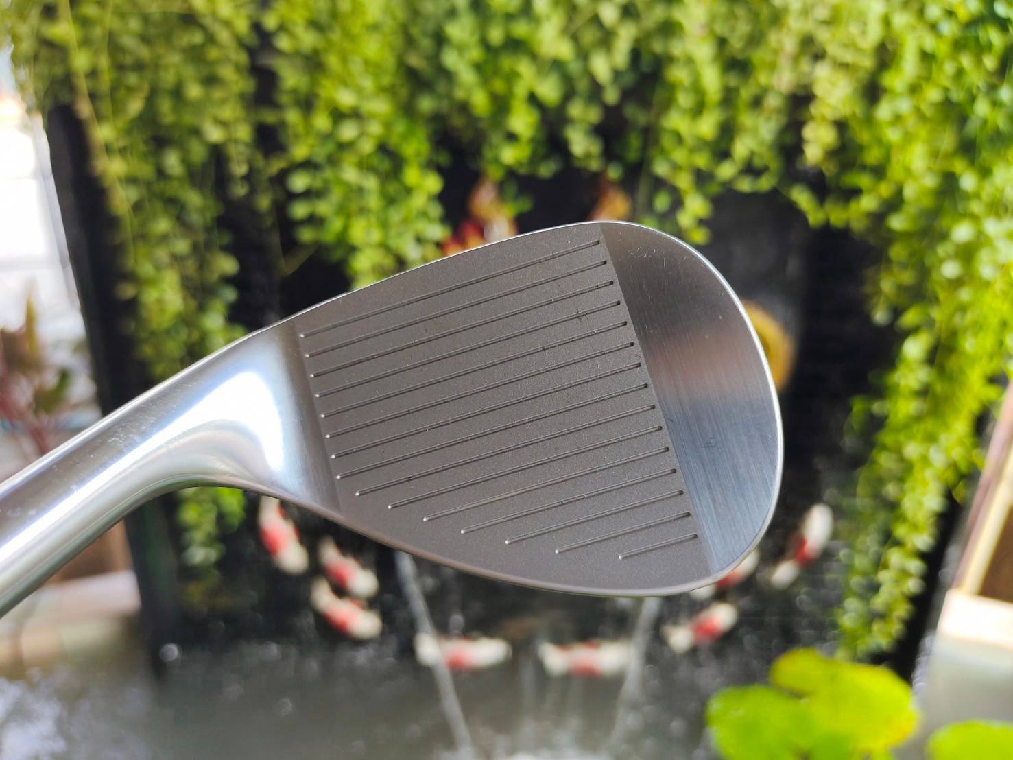 WEDGE MT28 V5 FORGED องศา 60