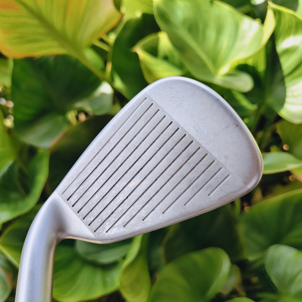 Cleveland TA7 W – ชุดเหล็กสำหรับคุณผู้หญิงโดยเฉพาะ! VAS System ลดแรงสั่นสะเทือน ตีสบายมือ