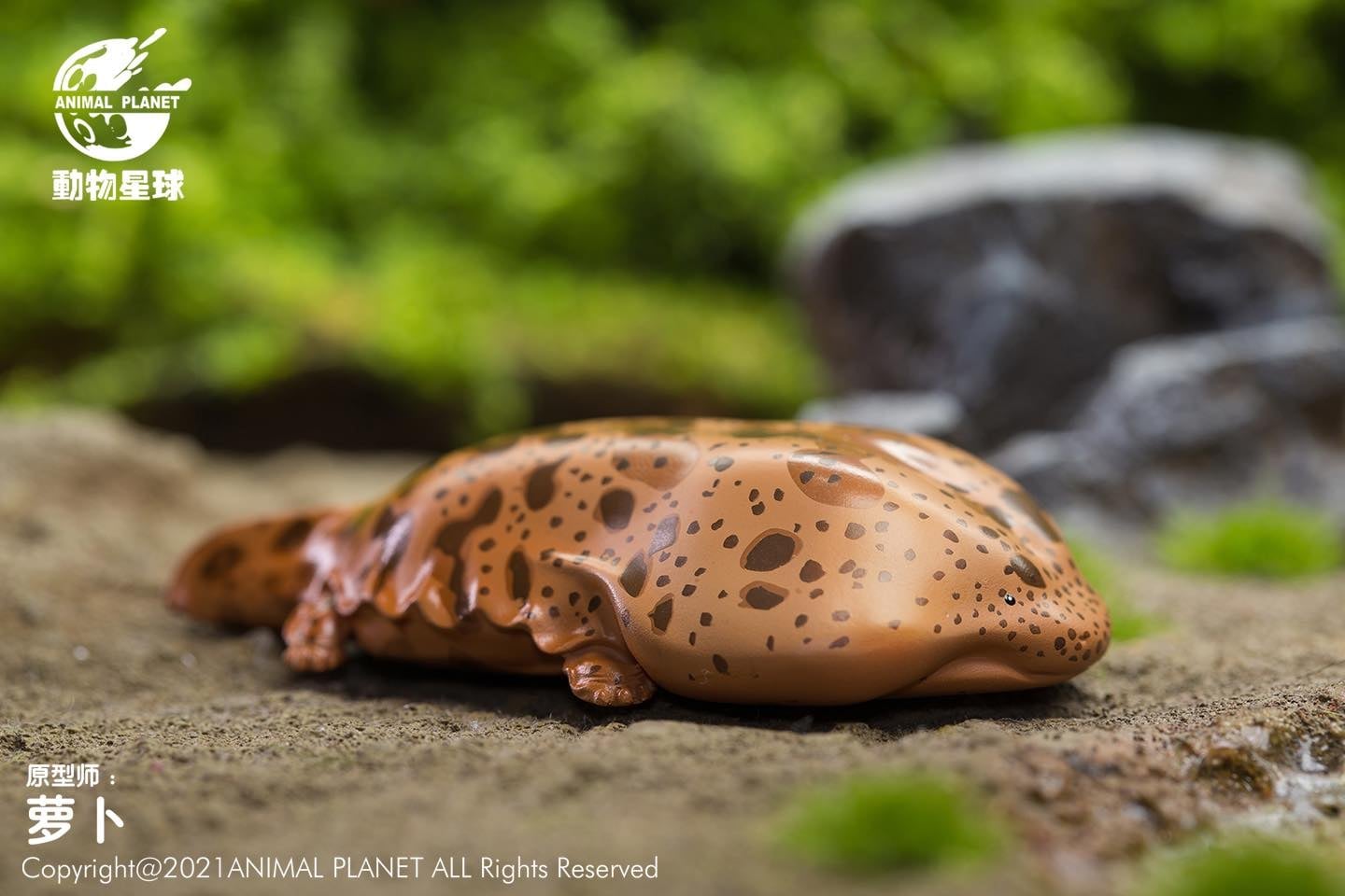[สั่งจอง]Animal Planet : Chinese Treasure