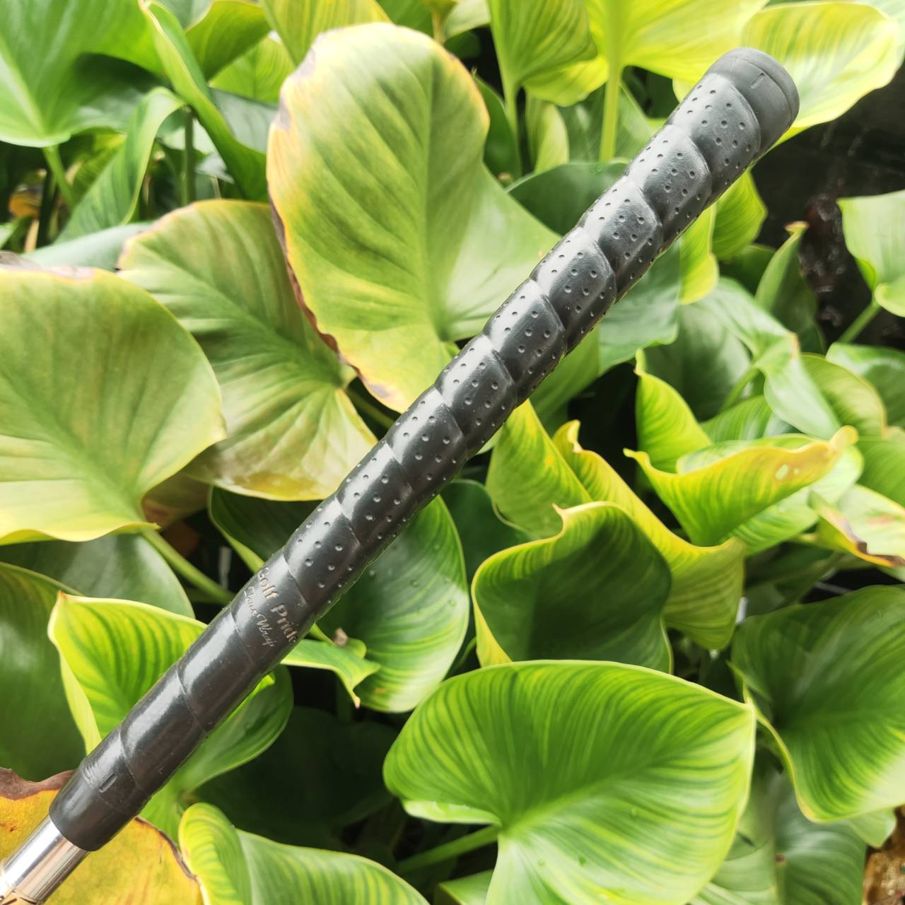 WEDGE CLEVELAND REG588 องศา 60° (Lob Wedge) สำหรับเล่นลูกสั้นรอบกรีน ชิพ-ฟลอป-ตีข้ามบังเกอร์สูง