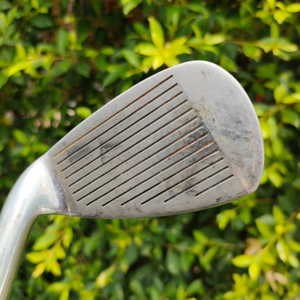 เหล็ก 8 WILSON ENVOY LOW GRAVITY IRON ก้าน ENVOY FLEX R ตีง่ายและตีไกลแบบสุดๆครับ