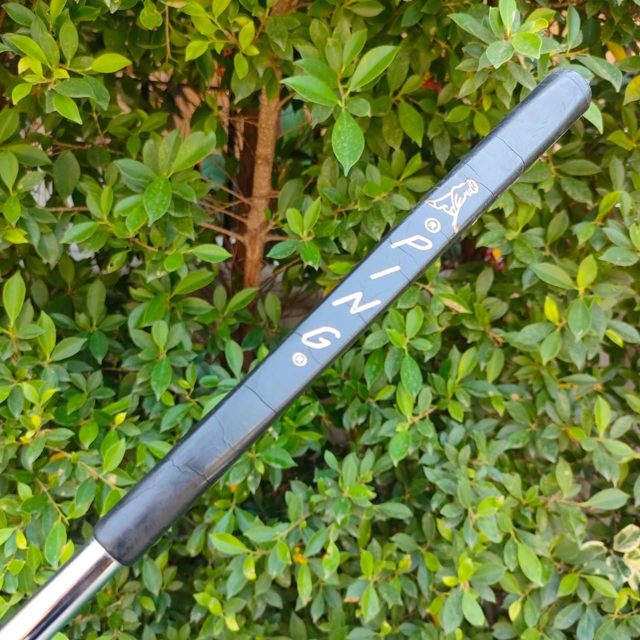 PUTTER PING PAL 4 ความยาว 36 นิ้ว รุ่น BECU เป็น Beryllium copper แท้ๆ ไม่ใช่ทองเหลือง สุดพรีเมี่ยม ไม้กอล์ฟมือสอง ของแท้ BY NakaraLuxurious