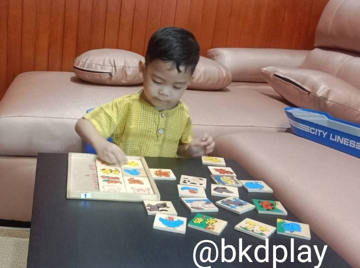 เกมจับคู่สัญลักษณ์แม่-ลูก ชุดสัตว์เลี้ยง , ของเล่นไม้, ของเล่นเสริมพัฒนาการ, ของเล่นเด็กอนุบาล, สื่อการสอนเด็กอนุบาล