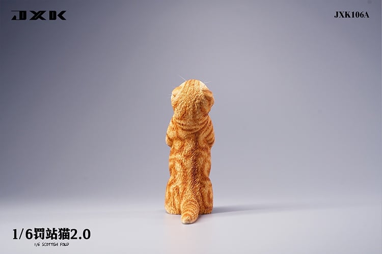 [สั่งจอง]JXK : Scottish Fold/Chckling/Duckling