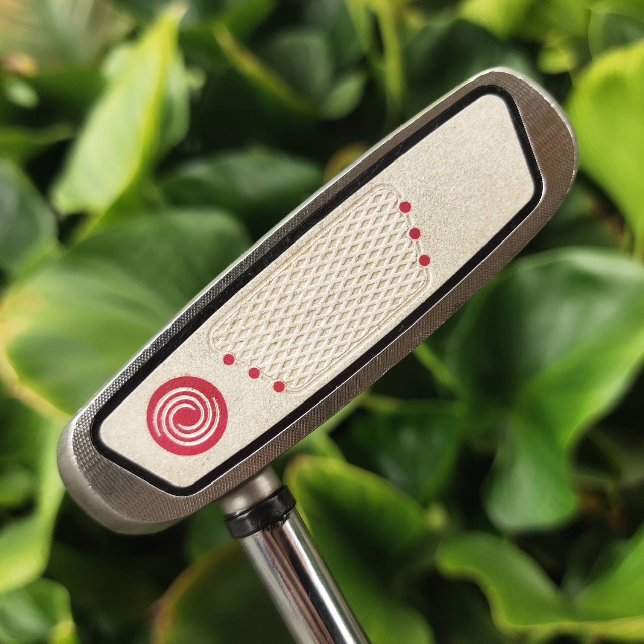PUTTER ODYSSEY TWO-BALL WHITE HOT XG ฟีลนุ่มนวล ลายหน้าไม้ เกาะไลน์มาก