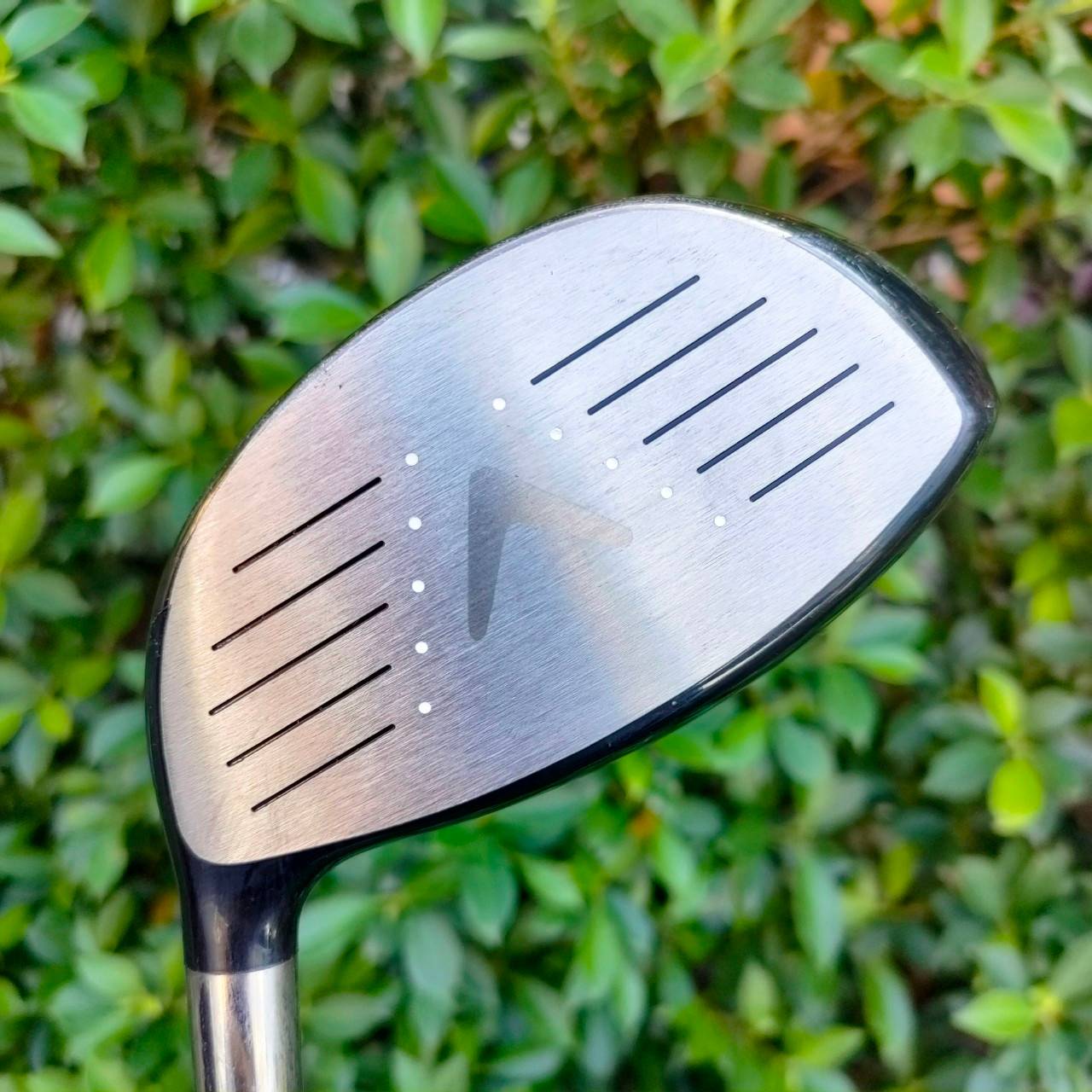DRIVER CALLAWAY LEGACY BLACK องศา 9.5 ก้าน CALLAWAY FLEX S สุดพรีเมี่ยมของแบรนด์ เน้นขายในประเทศญี่ปุ่น เพิ่มความดุดันใน BLACK SERIES เพิ่มความตีไกล ระยะมาเต็ม และเสียงที่เพราะขึ้นมากๆ