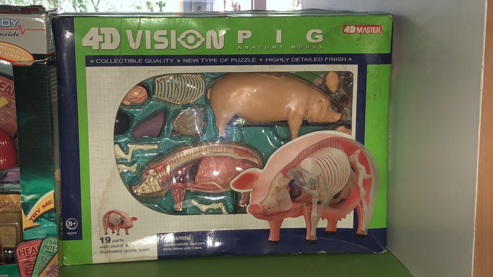 โมเดลหมู(4D Vision) ของเล่นเสริมพัฒนาการ, สื่อการสอนเด็กอนุบาล สื่อการสอนปฐมวัย