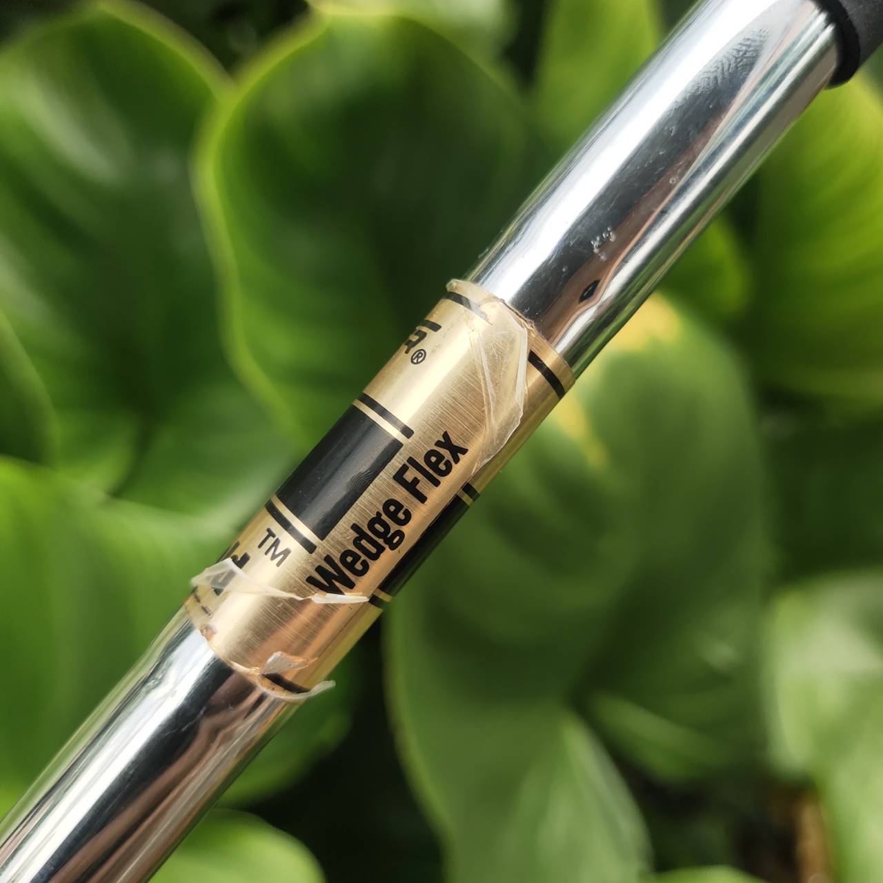 WEDGE CLEVELAND Cg12 องศา 56 ZIP GROOVE ร่องหน้าไม้สี่เหลี่ยม เหมือนกับซิป โหดมากสปินจัด