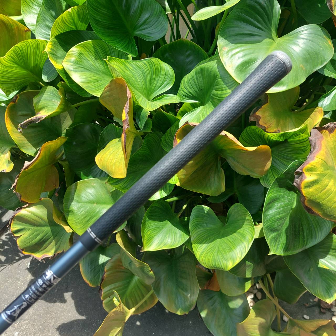 Driver PING G410 SFT ขจัด Slice และตีตรงด้วยเทคโนโลยีระดับพรีเมียม