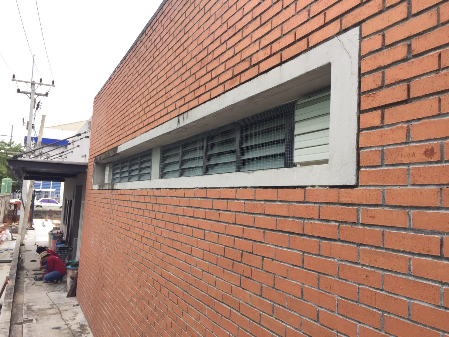 งานติดตาข่ายกันนก ตึกกายวิทยาทาน มหาวิทยาลัยมหิดล