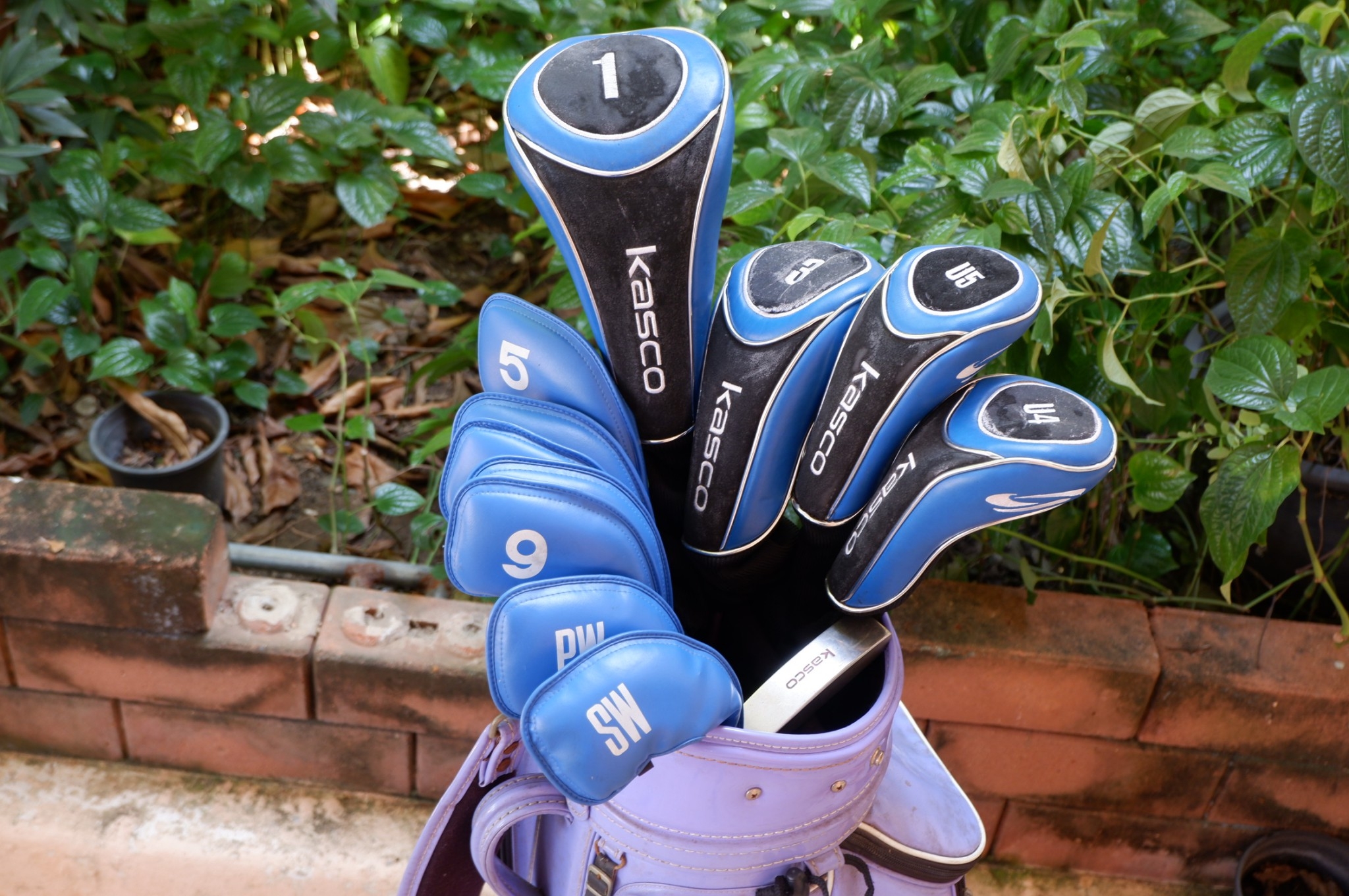 FUll SET KASCO DIMPALS G-FOUR