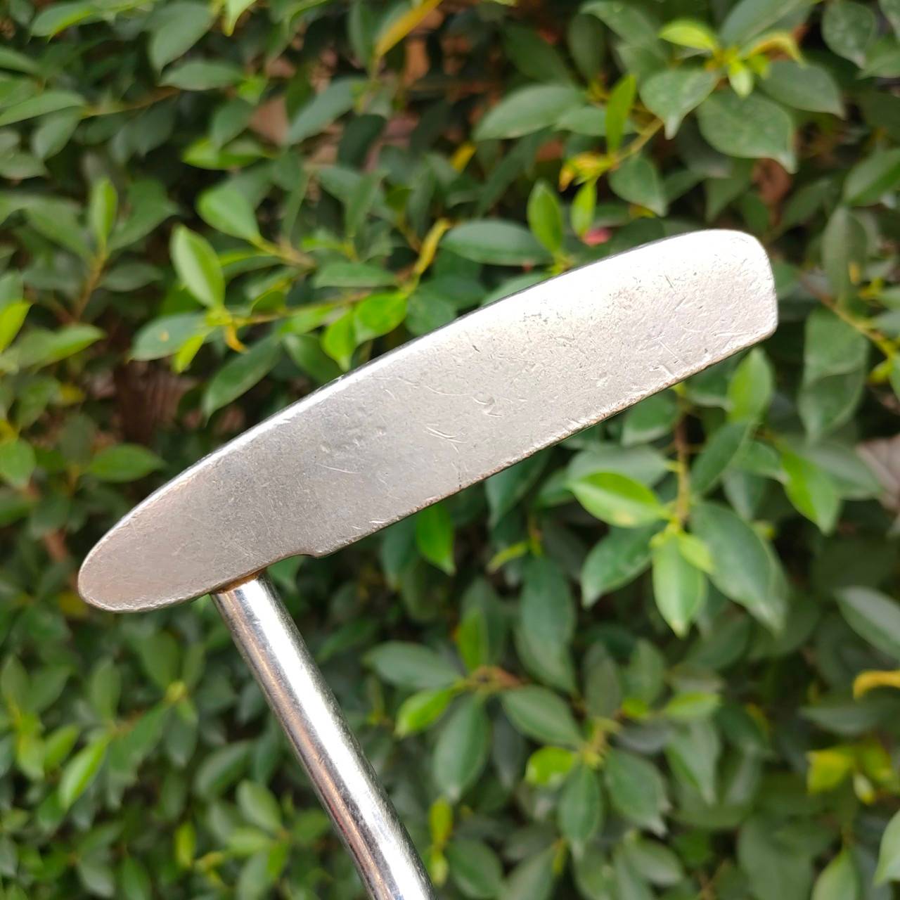 PUTTER WILSON FACE BALANCED 1200 CC ความยาว 34 นิ้ว พัตต์แม่นยำมาก