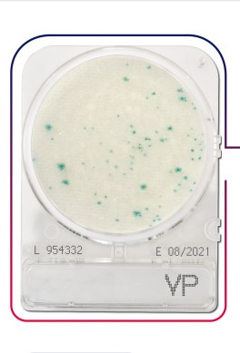 เพลทนับเชื้อสำเร็จรูป Compact Dry Vibrio parahaemolyticus (VP) 40/pK