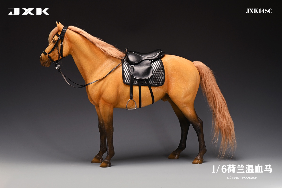 [สั่งจอง]JXK 1/6 : Dutch Warmblood