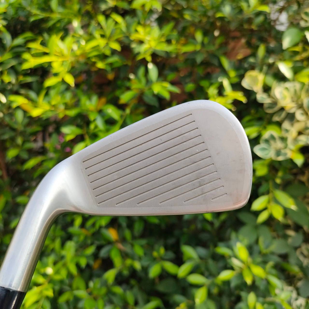 ** ไม้กอล์ฟสำหรับผู้หญิง ** ชุดเหล็ก MARUMAN TITUSV1 มีเหล็ก 5-9 เเละ PW SW ก้าน IMPACTFIT V1 FLEX L ชุดเหล็กญี่ปุ่น ที่ตีง่าย เบาสบาย และตีไกลกว่าปกติ 1 เบอร์ ครับ