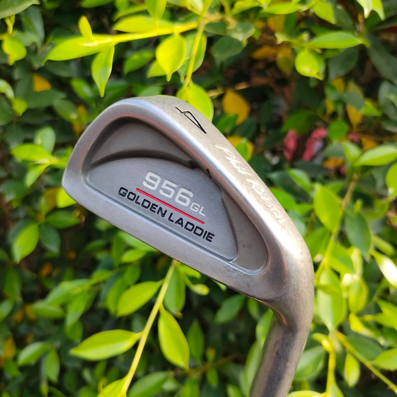 ** ไม้กอล์ฟสำหรับผู้หญิง ** ชุดเหล็ก 956 GL GOLDEN LADDIE มีเหล็ก 3-9 เเละ PW SW ก้าน FRAFLLO FLEX L เหล็กตีง่าย ใบกระจายน้ำหนัก และมีน้ำหนักสวิงเวทกำลังดี แต่น้ำหนักรวมเบา วัสดุดีมากครับ