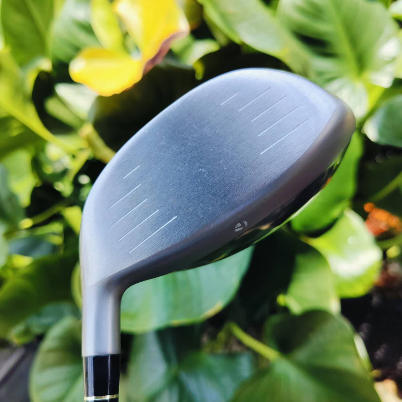 🏌️♀️ไม้กอล์ฟสำหรับผู้หญิง 🏌️♀️ ** ถุงกอล์ฟมีตำหนิ มีรูป** . SET TAYLORMADE MISCELA เป็นก้านเบาพรีเมี่ยมจริงๆ หัวไม้หัวใหญ่ หน้าเด้ง ตีตรง ไม้ช่วยเพิ่มระยะให้อย่างดี ไม้กอล์ฟพรีเมี่ยมมือสอง ของแท้ By NakaraLuxurious