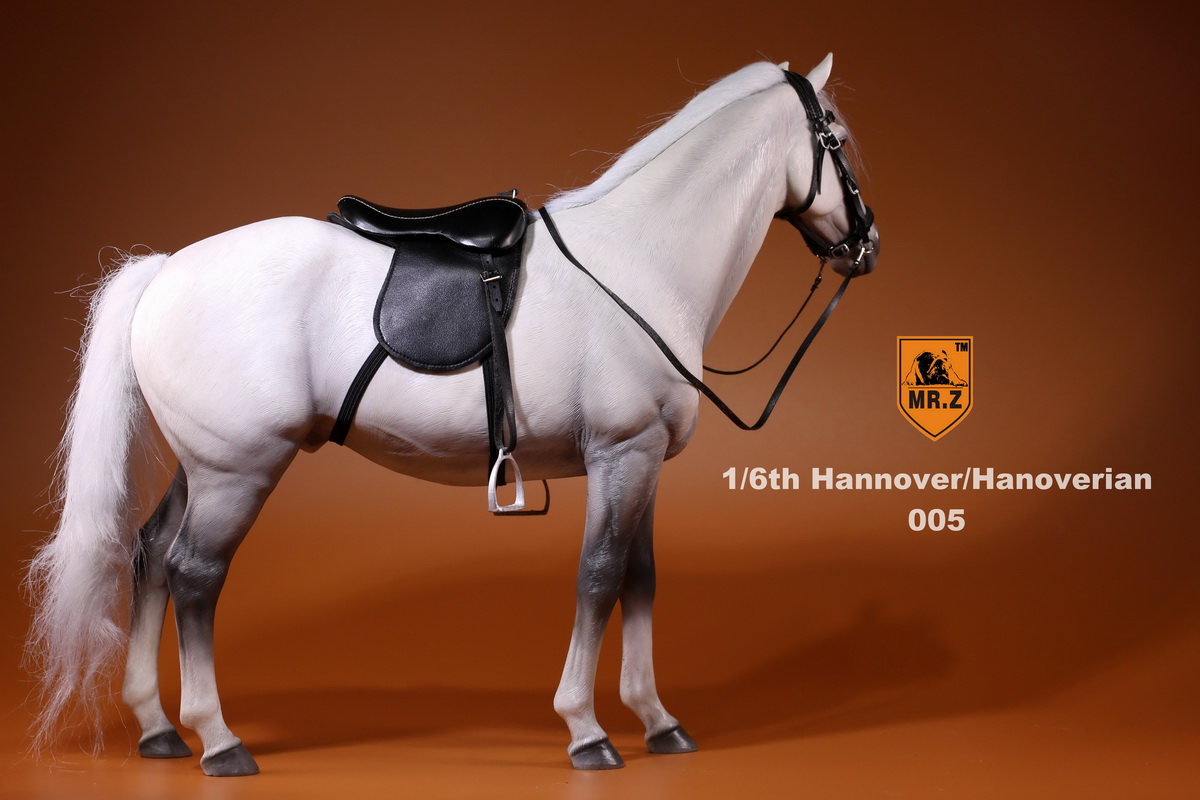 [สินค้าพรีออเดอร์] ม้าศึก Mr.Z 001~005 1/6 Germany Hanoverian Animal Hannover Horse Model 12" Figure