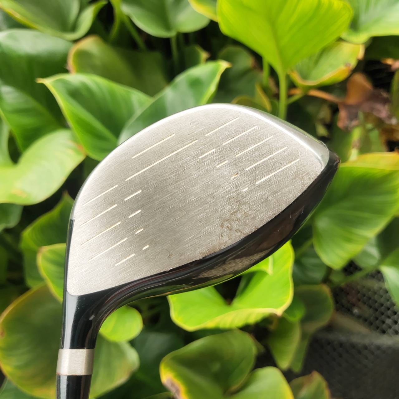 *มีลอยลอดลูก* 🏌️♂️ Driver PING G10 องศา 10.5° | ก้าน TFC-570D FLEX R