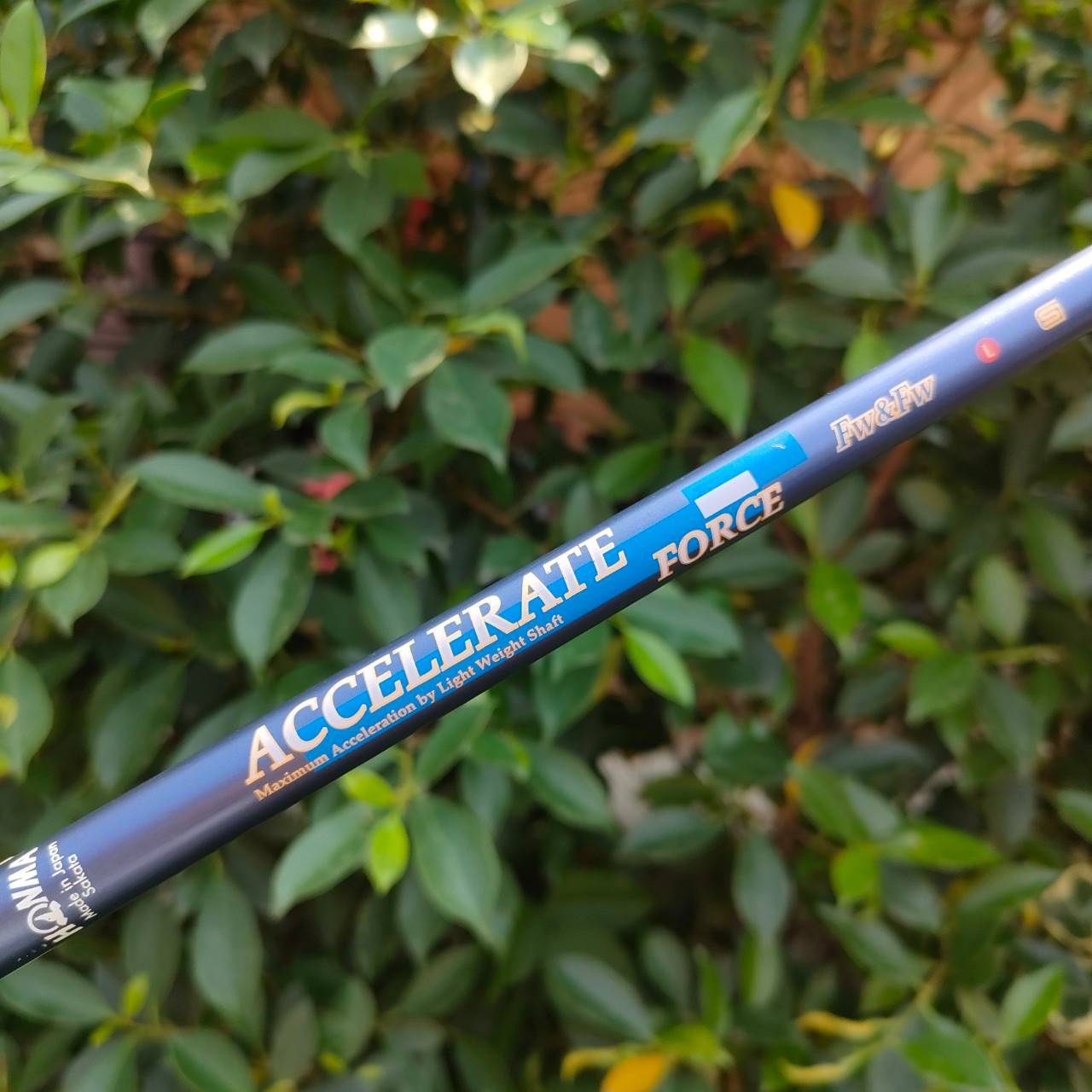 ** ไม้กอล์ฟสำหรับผู้หญิง ** เหล็ก 7 HONMA TWIN MARKS AP-301 MRS ก้าน ACCELERATE FORCE FLEX L