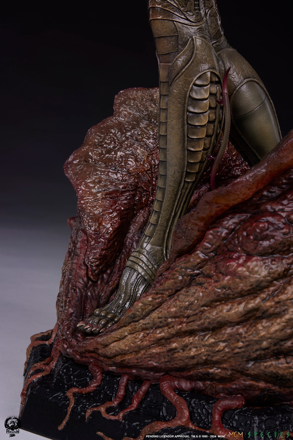 [สั่งจอง] PCS : Species (Species)