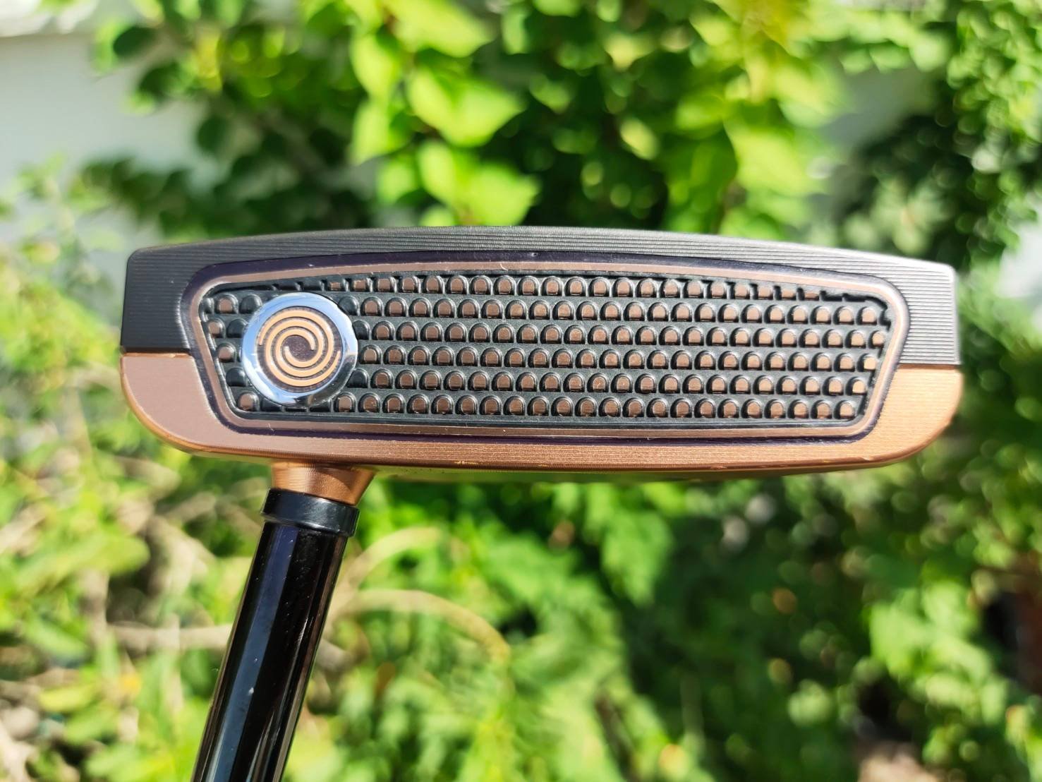 Odyssey Limited Edition Exo Two-Ball