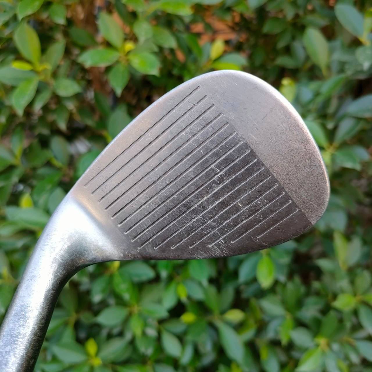 WEDGE CLEVELAND CG14 ZIP GROOVES ร่องสี่เหลี่ยม กัดแบบสุดขีด ปัจจุบันไม่มี ตกหยุดๆถอยหลังแน่นอน องศา 60 ก้าน TRACTION FLEX WEDGE สองจุด Standard Bounce