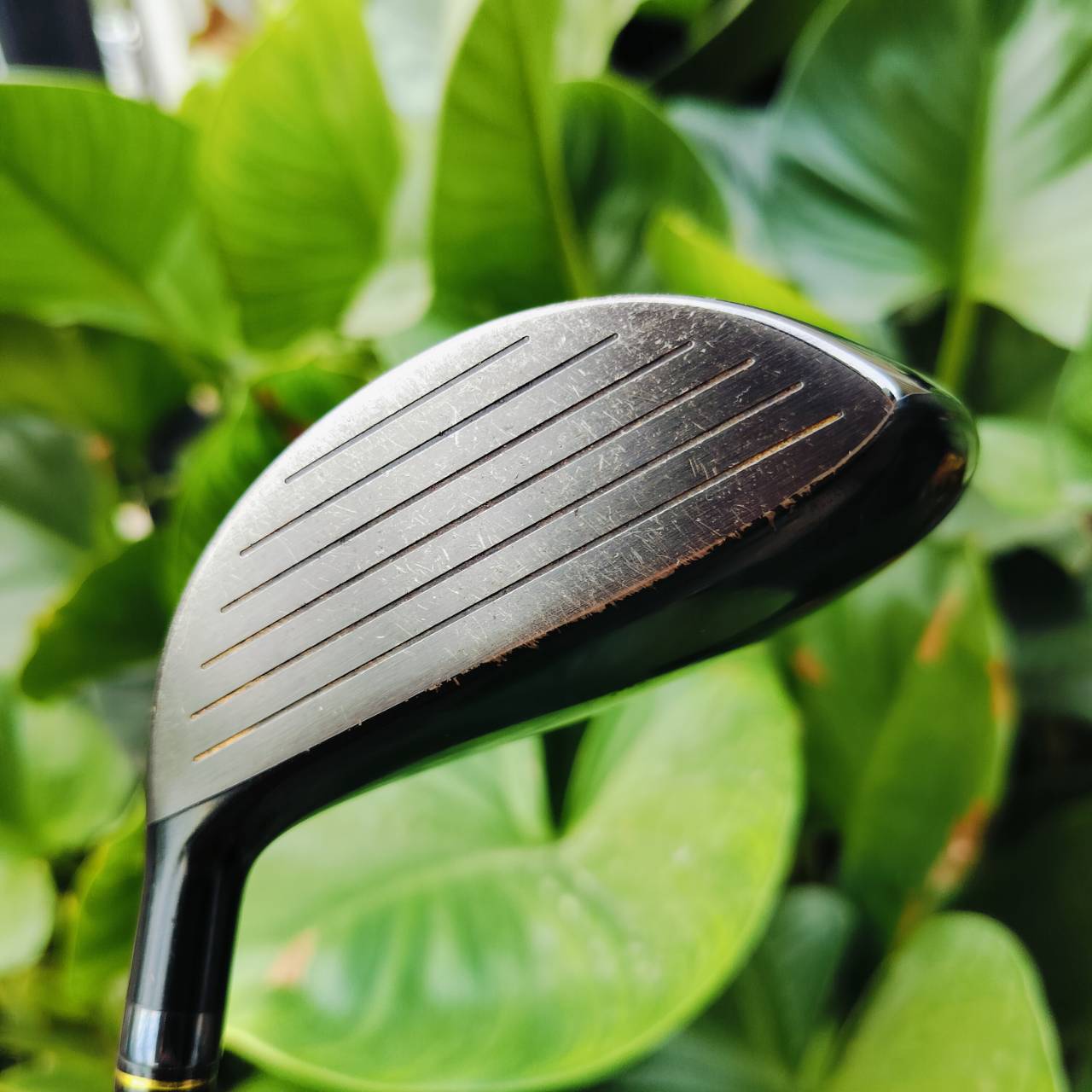 FW3 KASCO ROYAL องศา 15 ก้านเบา 49 กรัม FLEX R มี COVER แท้ ตัว ROYAL เป็นตัวที่ KASCO ผลิตออกมา แบบพรีเมี่ยม หรูหราที่สุด ไม้กอล์ฟพรีเมี่ยมมือสอง ของแท้ By NakaraLuxurious