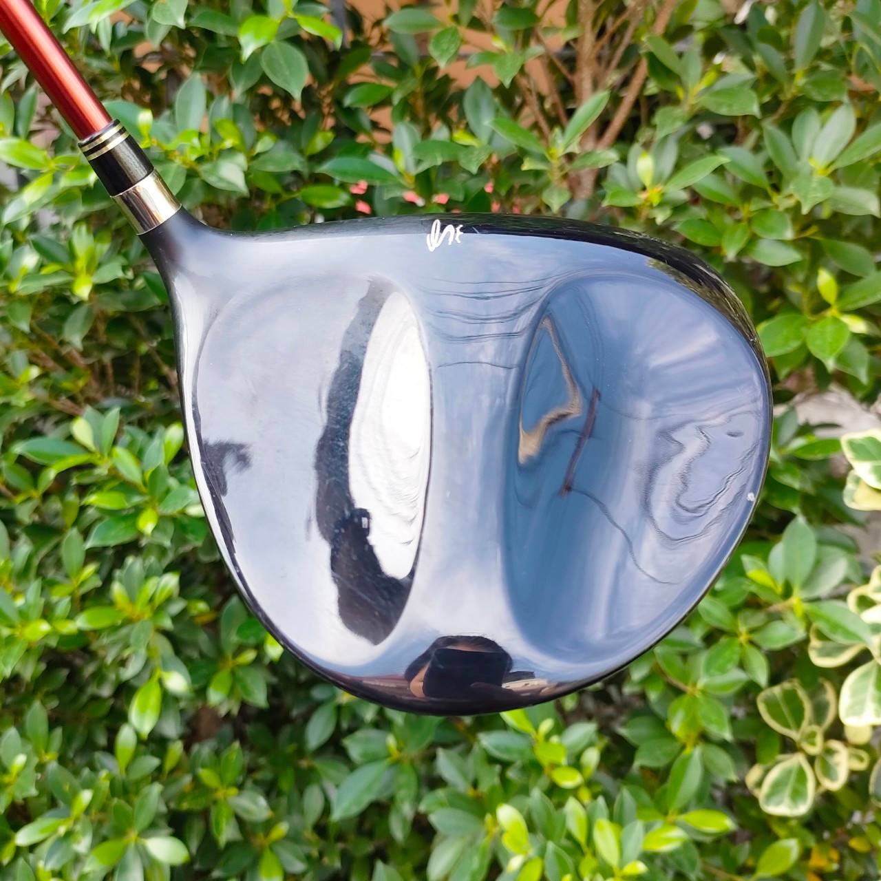 DRIVER KING COBRA SPEED LD SOON INERTIA ก้าน ALDILA NV FLEX R องศา 9 หัวดี ตีไกล หน้าเด้ง ตีง่าย กระดองรีดพลัง เด้งมากๆ ก้าน ALDILA ก้านดีมากครับ COBRA เน้นตีง่าย ตีไกล เสียงสนั่น