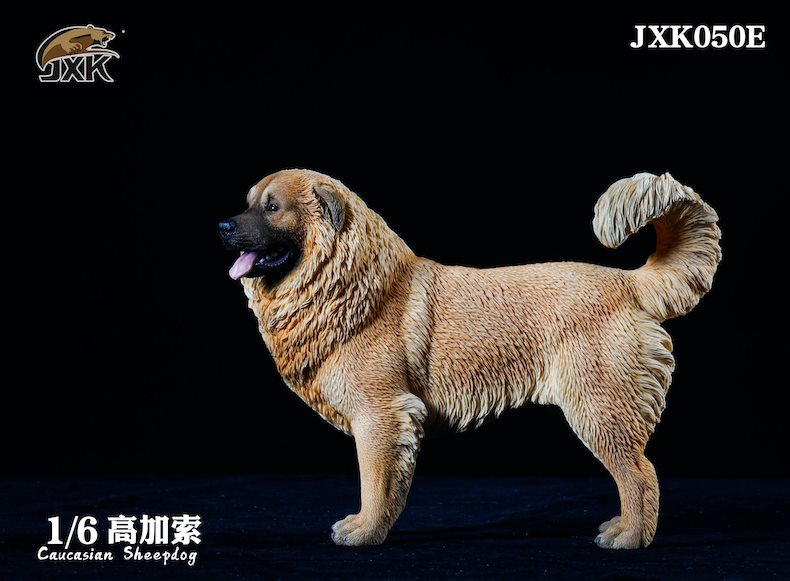 [สั่งจอง]JXK JXK050 1/6 : Caucasian Sheepdog
