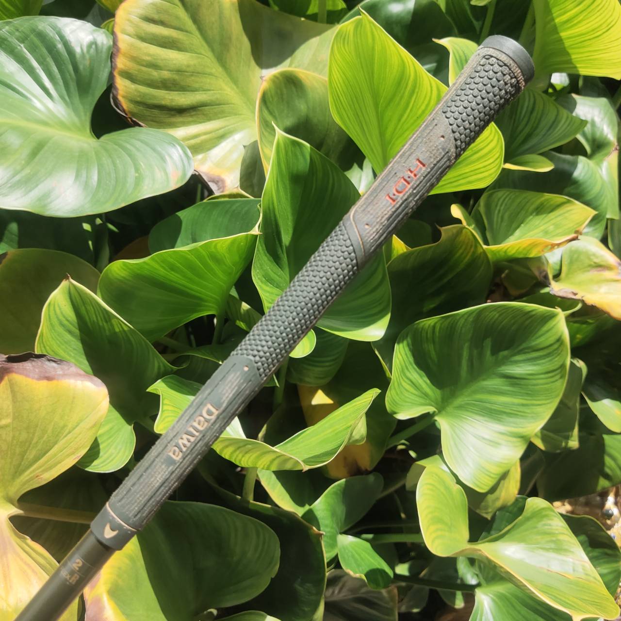 เหล็ก 2 DAIWA CARBOREX ตีง่ายมากๆ หน้าไม้เป็นคาร์บอน เคฟล่า ตีทั้งเด้ง ทั้งสปินสูงจัด!!!