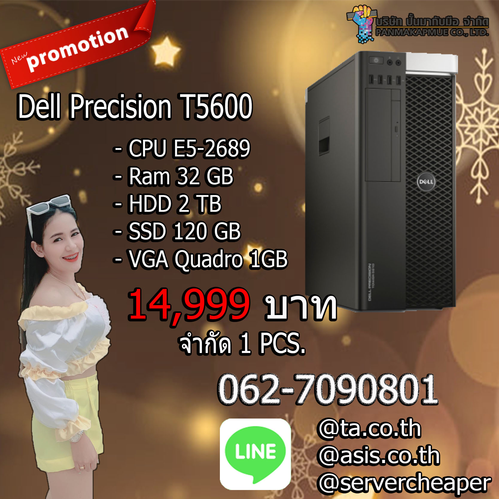 Dell Precision T5600 Xeon
