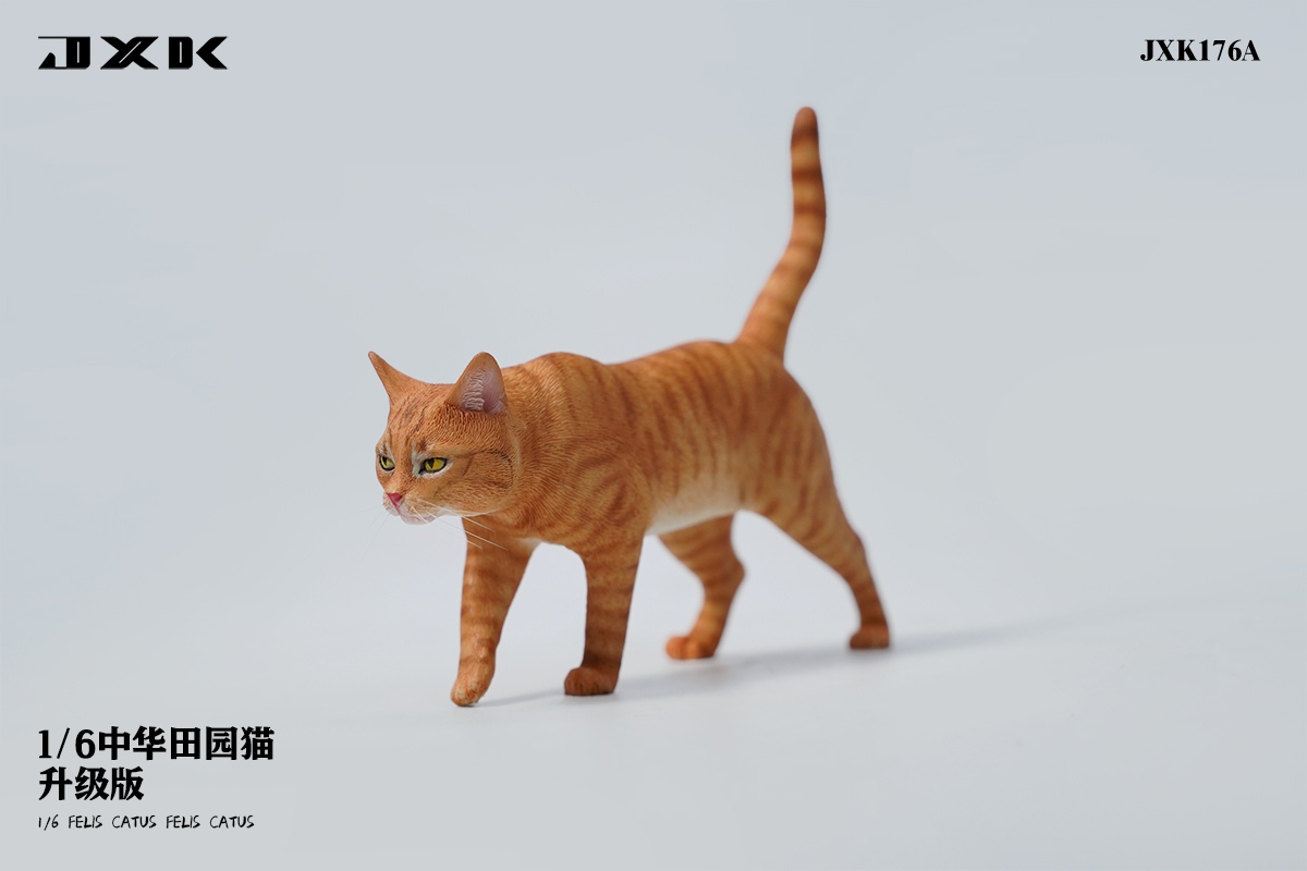 [สั่งจอง] JXK JXK176 1/6 : Felis Catus