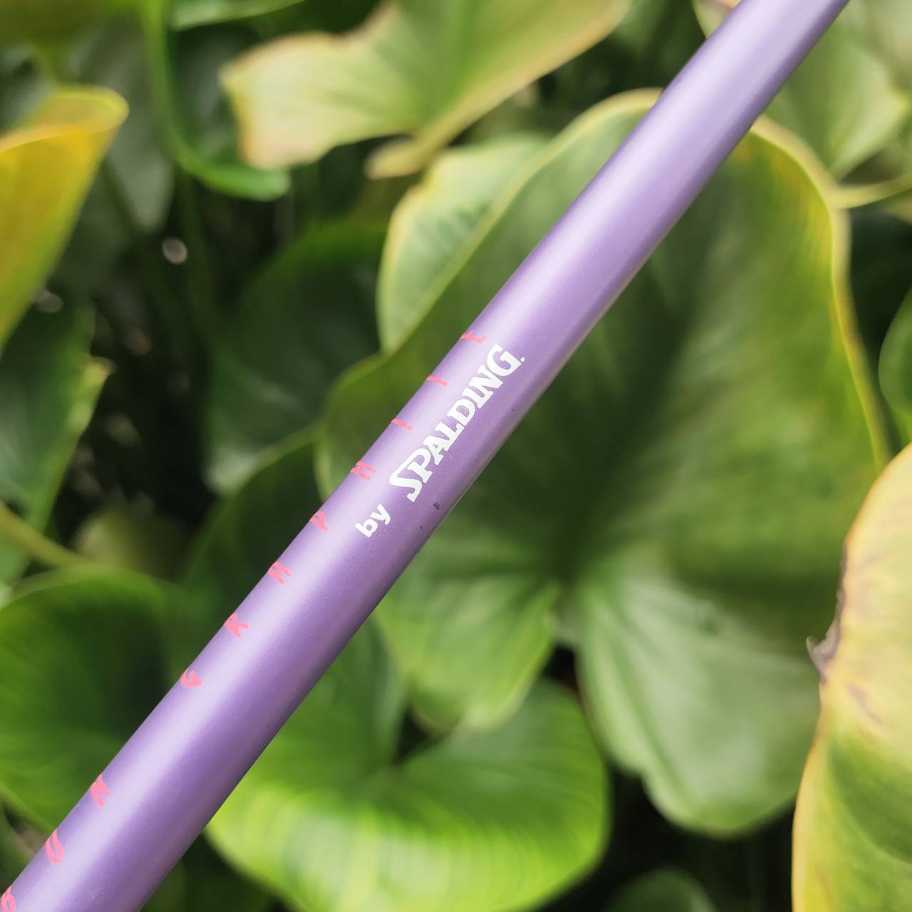 ไม้กอล์ฟครบชุดสำหรับผู้หญิง FULLSET SPALDING LADY มือสอง พร้อมสำหรับออกรอบได้เลย