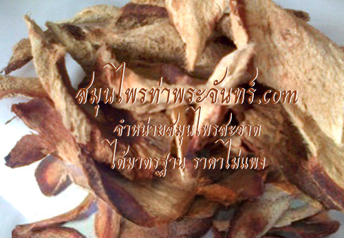 Dried Butea superba Roxb.
