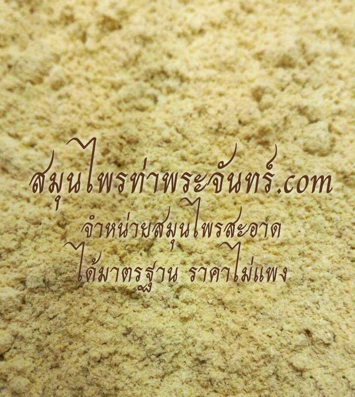 แก่นมะหาดผง ( 500กรัม - 1กิโล ) / ( 500g - 1kg ) สมุนไพรท่าพระจันทร์