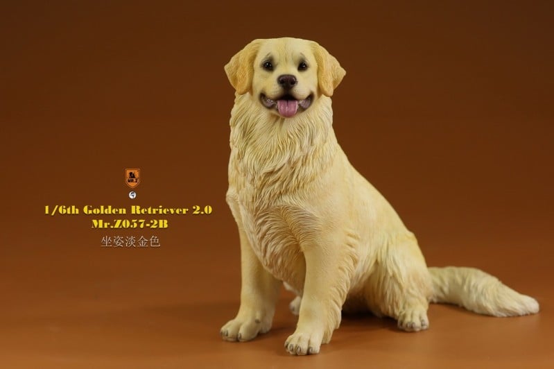 [สั่งจอง]Mr.Z MRZ057 1/6 : Golden Retriever 2.0